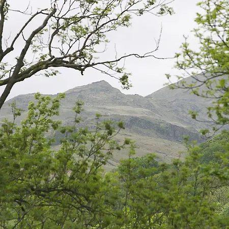 Badger * Ambleside